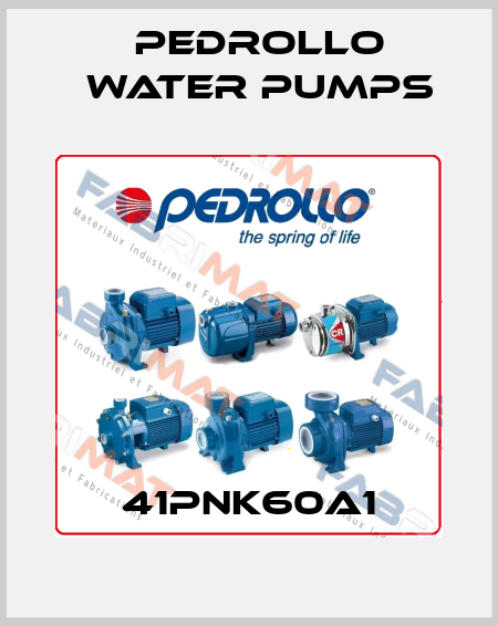41PNK60A1 Pedrollo Water Pumps