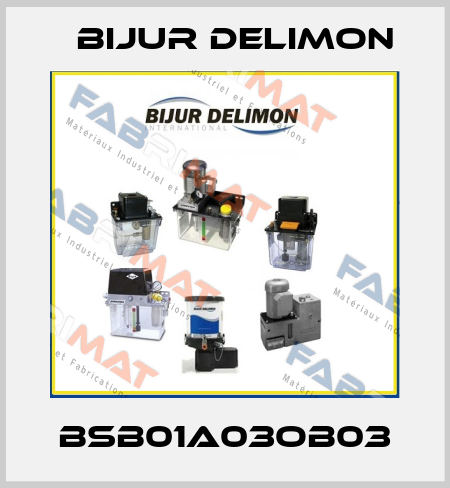 BSB01A03OB03 Bijur Delimon