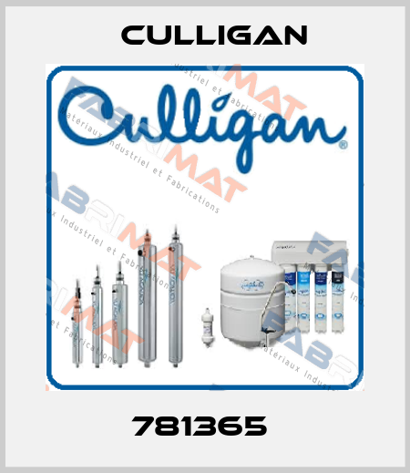 781365  Culligan