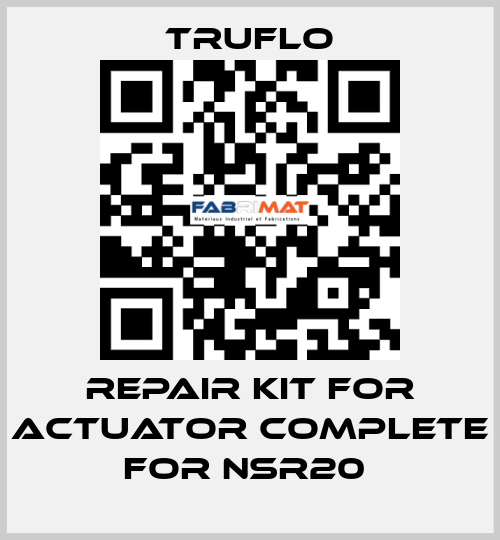 Repair Kit For Actuator Complete For NSR20  TRUFLO
