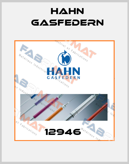 12946  Hahn Gasfedern