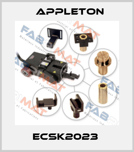 ECSK2023  Appleton