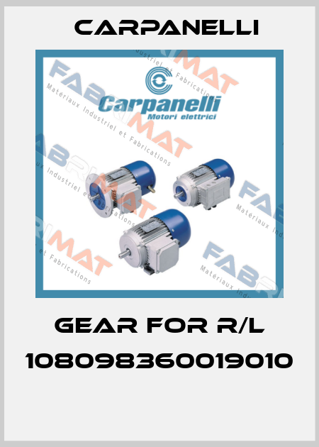 Gear for R/L 108098360019010  Carpanelli