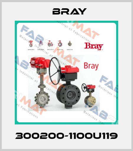 300200-1100U119 Bray