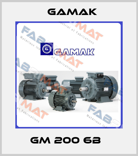 GM 200 6B   Gamak