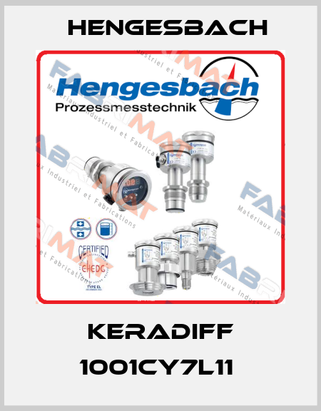 KERADIFF 1001CY7L11  Hengesbach