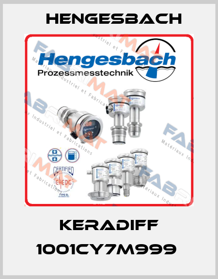 KERADIFF 1001CY7M999  Hengesbach