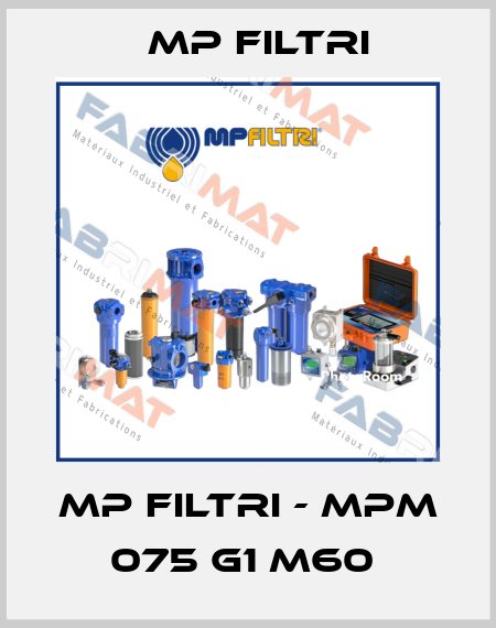 MP Filtri - MPM 075 G1 M60  MP Filtri