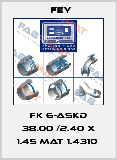  FK 6-ASKD 38.00 /2.40 x 1.45 Mat 1.4310  Fey