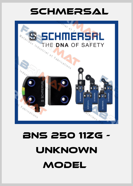 BNS 250 11ZG - UNKNOWN MODEL  Schmersal