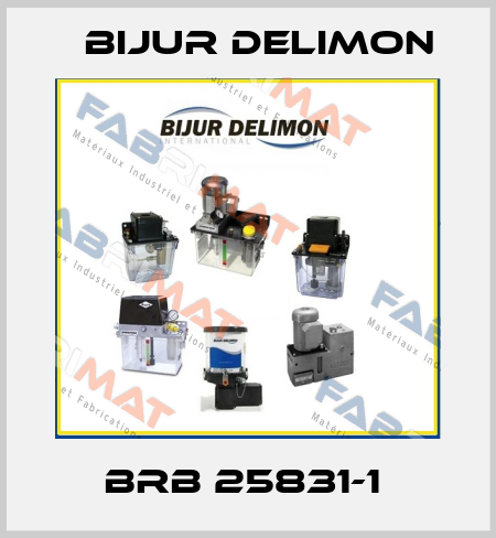 BRB 25831-1  Bijur Delimon