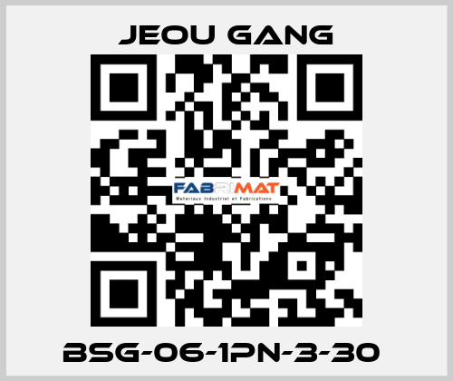 BSG-06-1PN-3-30  Jeou Gang