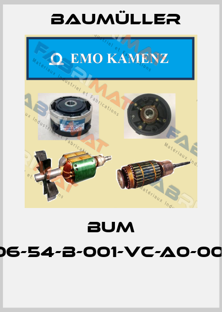 BUM 60-03/06-54-B-001-VC-A0-0001-0013  Baumüller
