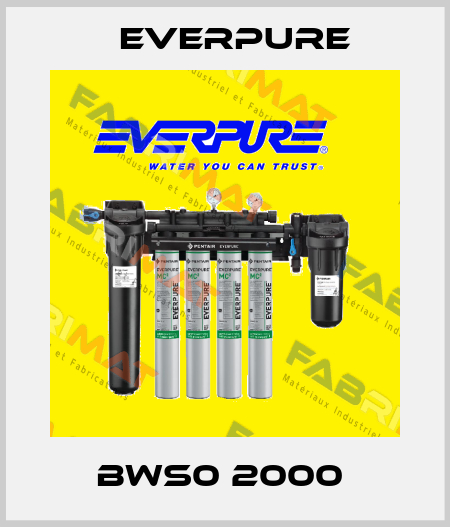 BWS0 2000  Everpure