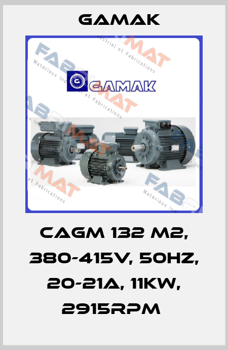 CAGM 132 M2, 380-415V, 50HZ, 20-21A, 11KW, 2915RPM  Gamak