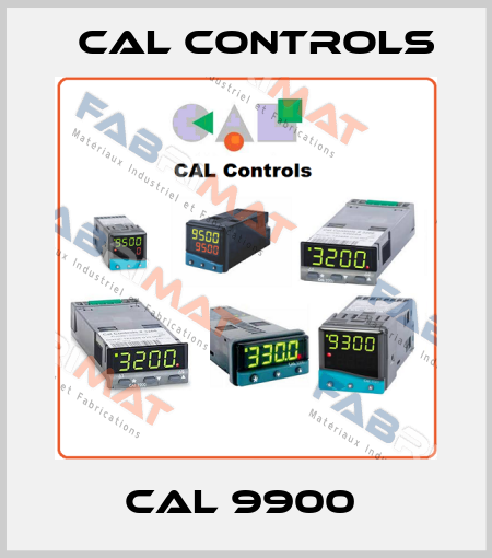 CAL 9900  Cal Controls