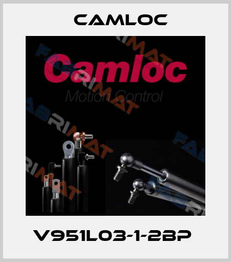 V951L03-1-2BP  Camloc
