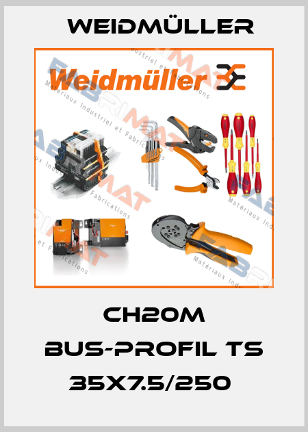 CH20M BUS-PROFIL TS 35X7.5/250  Weidmüller