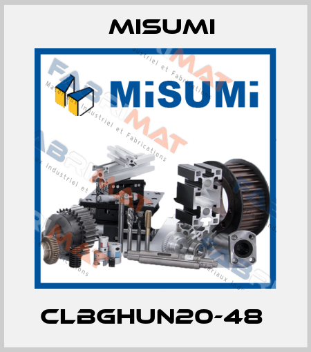 CLBGHUN20-48  Misumi