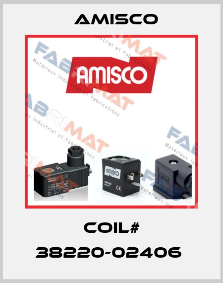 COIL# 38220-02406  Amisco