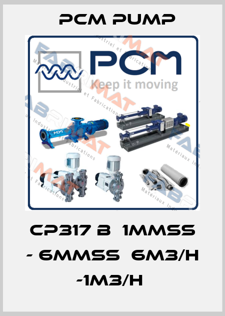 CP317 B  1MMSS - 6MMSS  6M3/H -1M3/H  PCM Pump