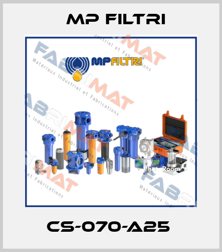 CS-070-A25  MP Filtri