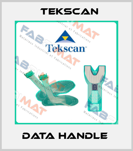 data handle  Tekscan