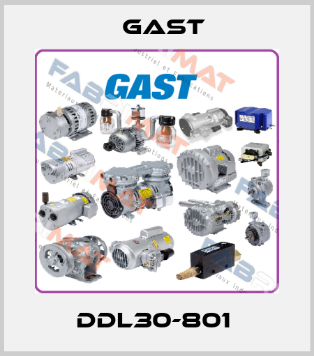 DDL30-801  Gast
