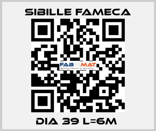 DIA 39 L=6M  Sibille Fameca