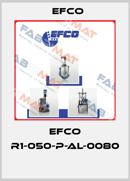 EFCO R1-050-P-AL-0080  Efco