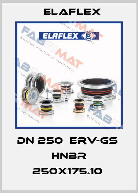 DN 250  ERV-GS  HNBR 250X175.10  Elaflex