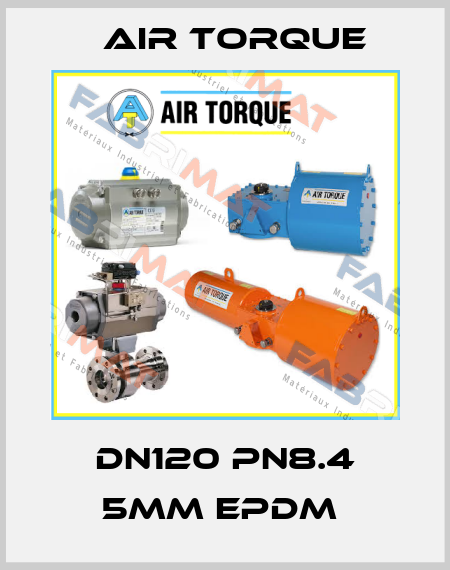 DN120 PN8.4 5MM EPDM  Air Torque