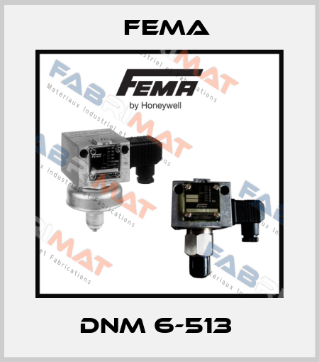 DNM 6-513  FEMA