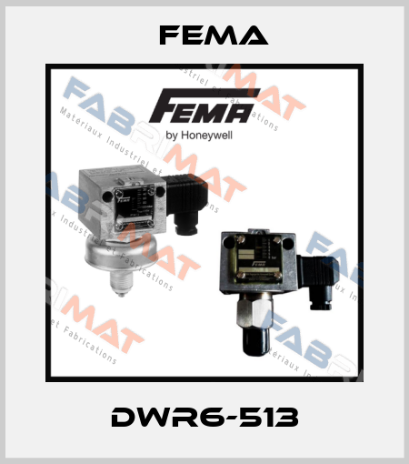 DWR6-513 FEMA