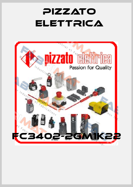 FC3402-2GM1K22  Pizzato Elettrica