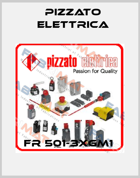 FR 501-3XGM1  Pizzato Elettrica