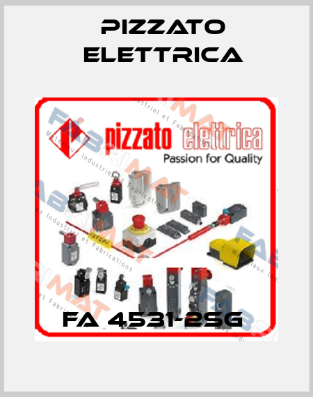 FA 4531-2SG  Pizzato Elettrica