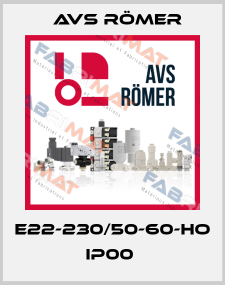 E22-230/50-60-HO IP00  Avs Römer