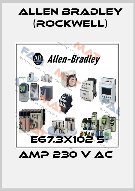 E67.3X102 5 AMP 230 V AC  Allen Bradley (Rockwell)