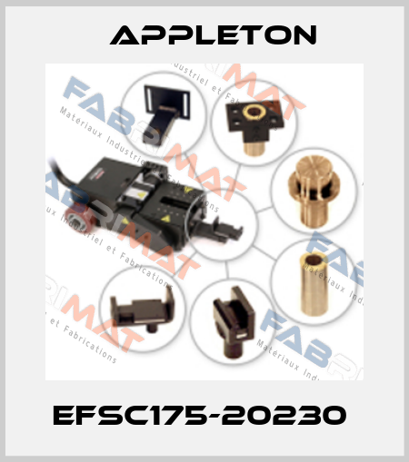 EFSC175-20230  Appleton