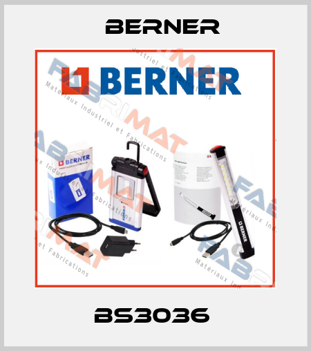BS3036  Berner
