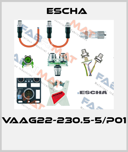 VAAG22-230.5-5/P01  Escha