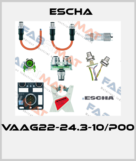 VAAG22-24.3-10/P00  Escha
