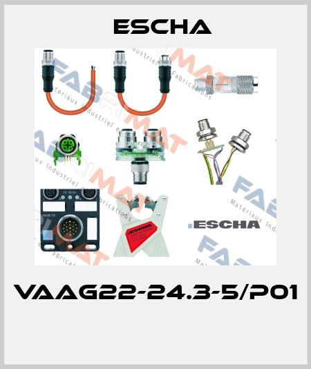 VAAG22-24.3-5/P01  Escha