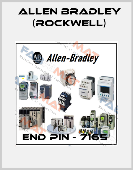 END PIN - 7165  Allen Bradley (Rockwell)