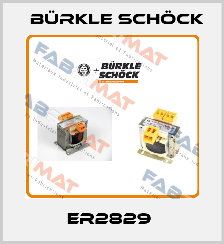 ER2829  Bürkle Schöck