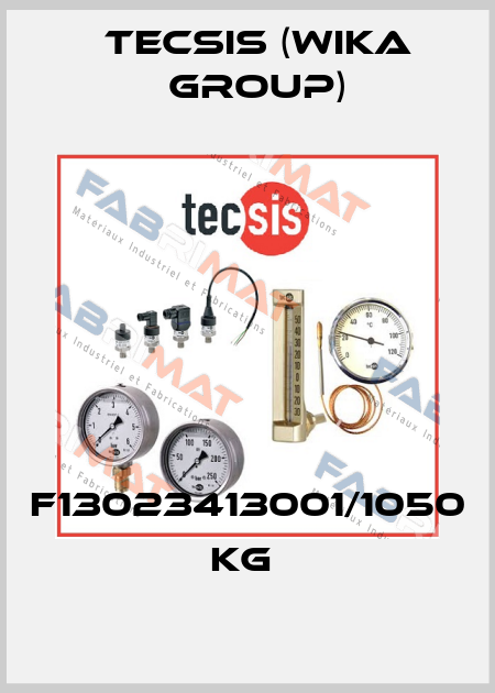 F13023413001/1050 KG  Tecsis (WIKA Group)