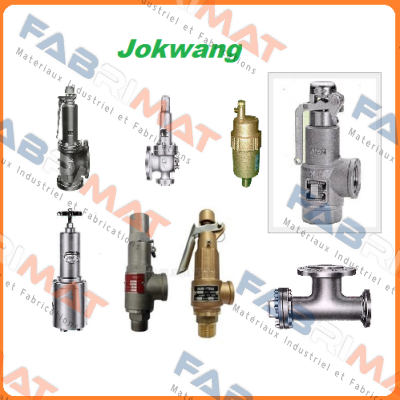 FF100-C-3/4"D1"-A11-212-CN2 9,1BARG  Jokwang