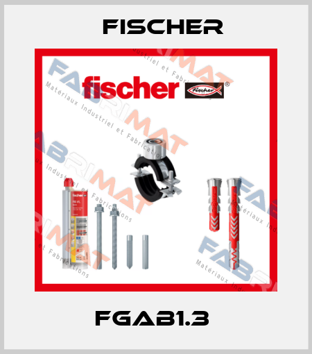 FGAB1.3  Fischer