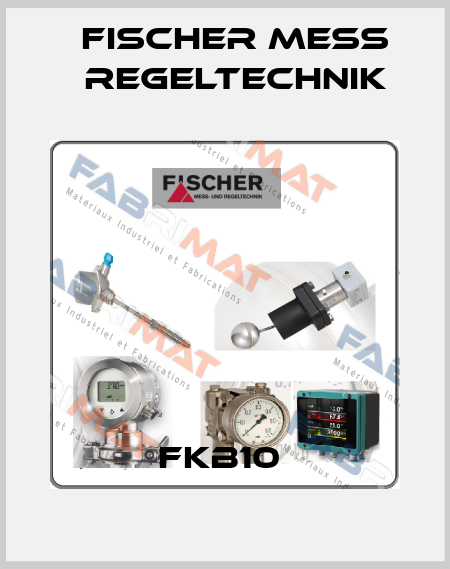 FKB10  Fischer Mess Regeltechnik